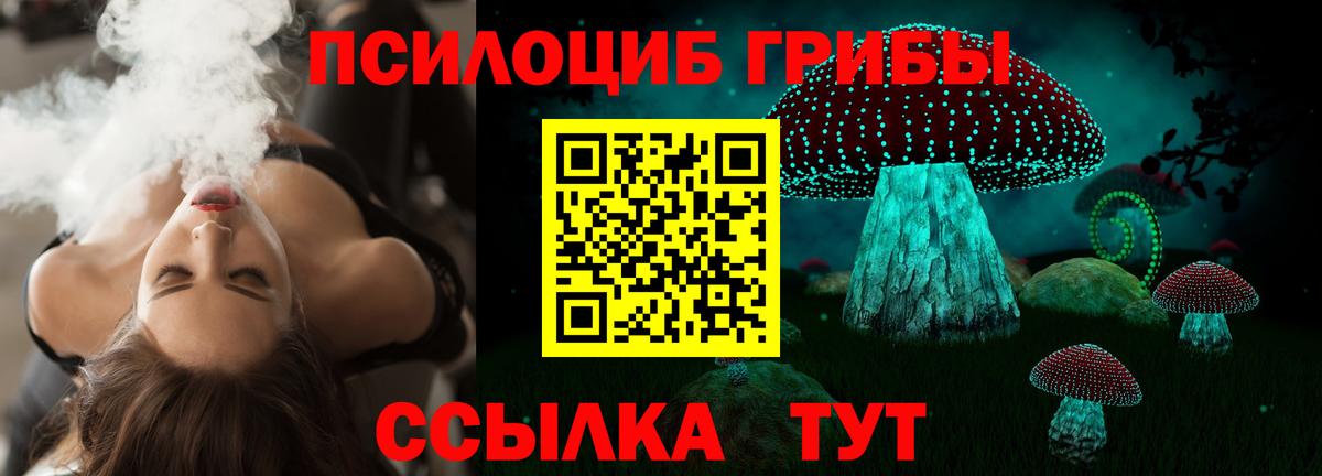 Псилоцибиновые грибы мухоморы Гусев