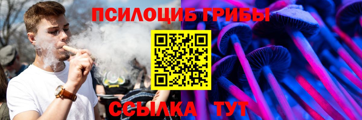 Гусев  где найти   Вход с VPN  Галлюциногенные грибы прущие грибы 